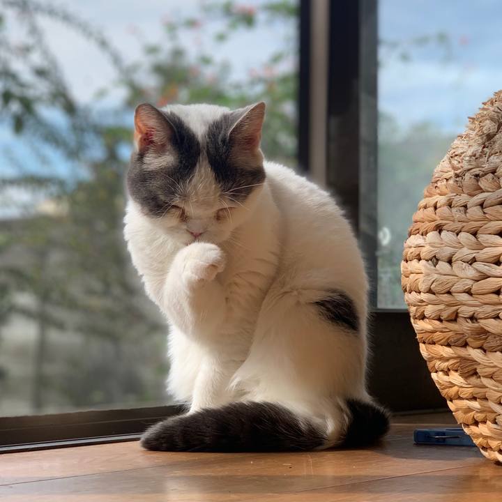 C2e91f98 fffa 4288 a8bf fd5dfa8ef0bd 1695515234006