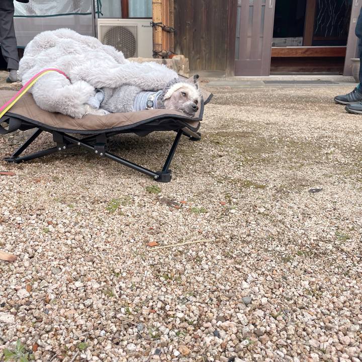 C2e93001 1e00 4dfb 9507 67ab138fb3e6 1767081557178