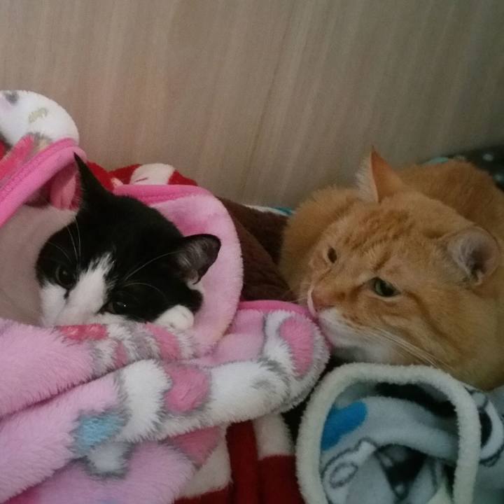 C2e93c7f 2451 4fc6 985a 25b1faecf53c 1547863856598