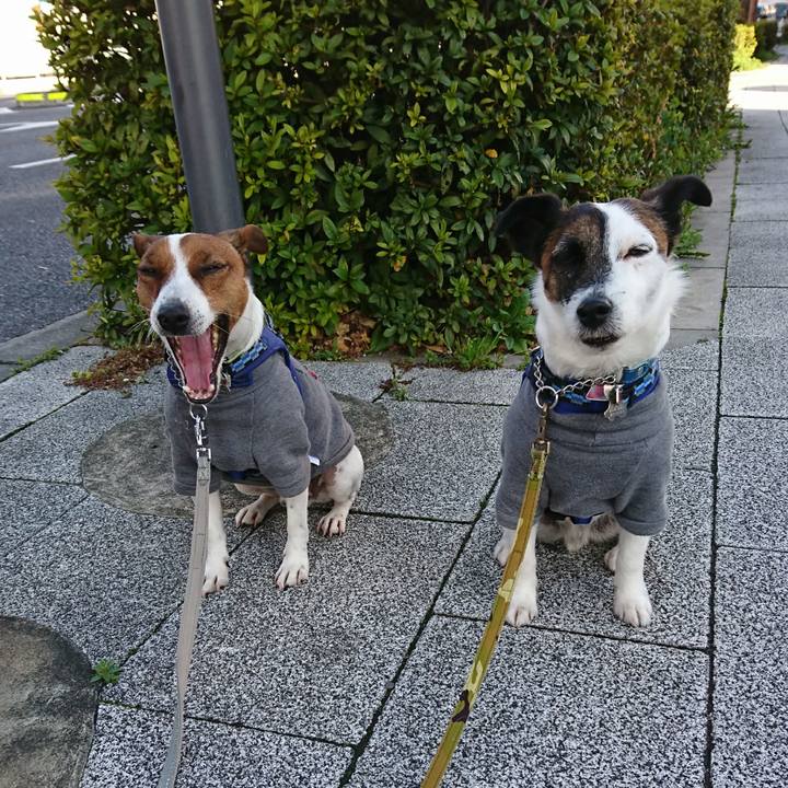 C2e9814d 1a17 466e aded 4b29384c03c4 1615762123827