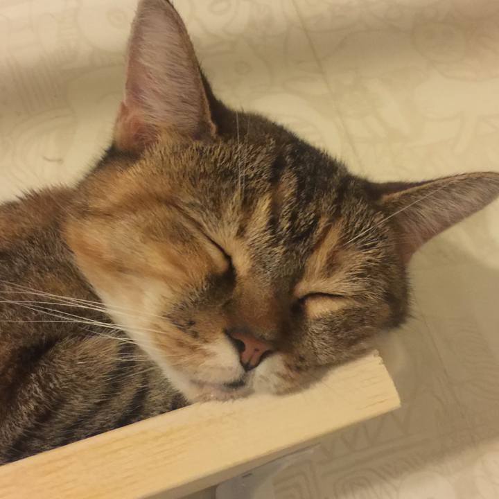 C2e99fd3 0512 43e3 a606 7fb601eb6b5f 1567614011682