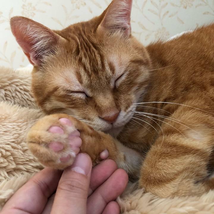 C2e9bb29 947e 477d aca3 10dd73285c1f 1570448459301