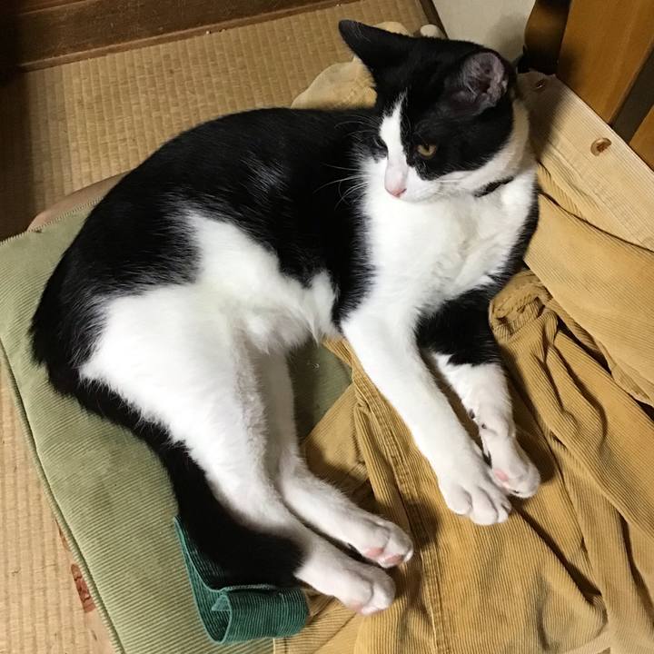 C2e9c8cf 7676 45a6 9d49 e2210d5a91b7 1631954963287