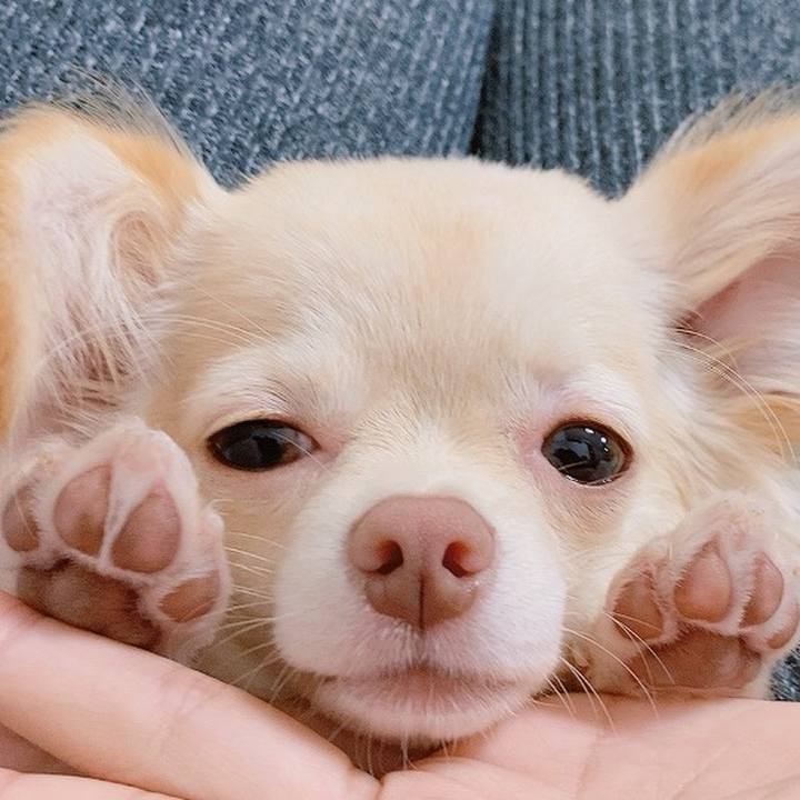 C2e9df6b 3f71 4089 a99c fb91f7004095 1602301675654