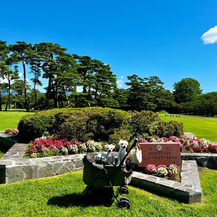 C2e9fd17 f7a5 43de 8e1d bdf86e1f120b 1662258092376