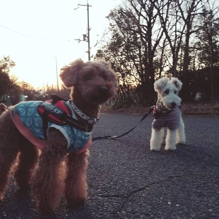 C2ea1e62 c7f0 4f38 9b64 466f7ae81550 1515537585988