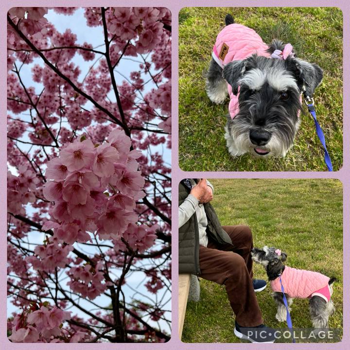 C2ea247e ef82 4828 b176 97b3674cd80c 1712842962908