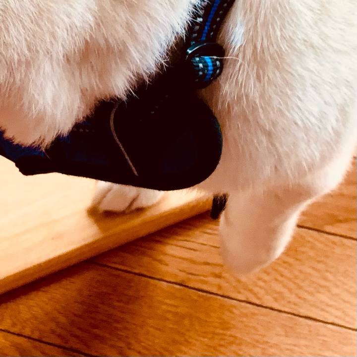 C2ea6784 b731 4465 ac91 7a7d1d275bbb 1646454644849