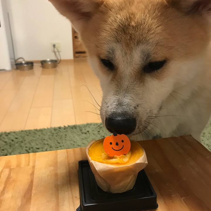 C2ea8ae8 60d2 456f 96f2 e4d56d0df0f8 1509545496246