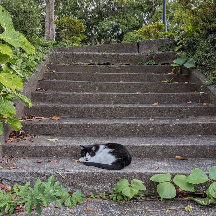 C2eaa1e5 471c 42e4 bfdc 02bfbd7b2101 1696676377019