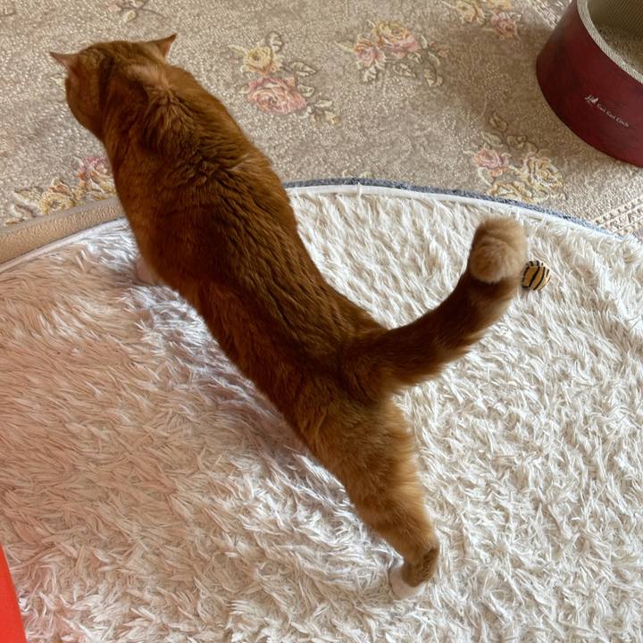 C2eadaa6 ffc1 4a1f 9515 e7c2ca98c694 1660974681332