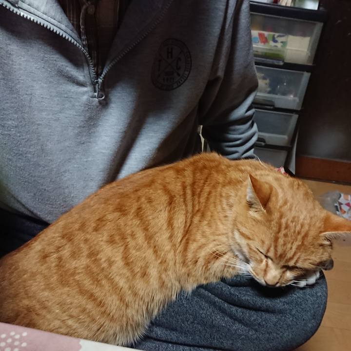 C2eaf8db 4e7d 4634 ab1b f79f22eb0051 1608151618600