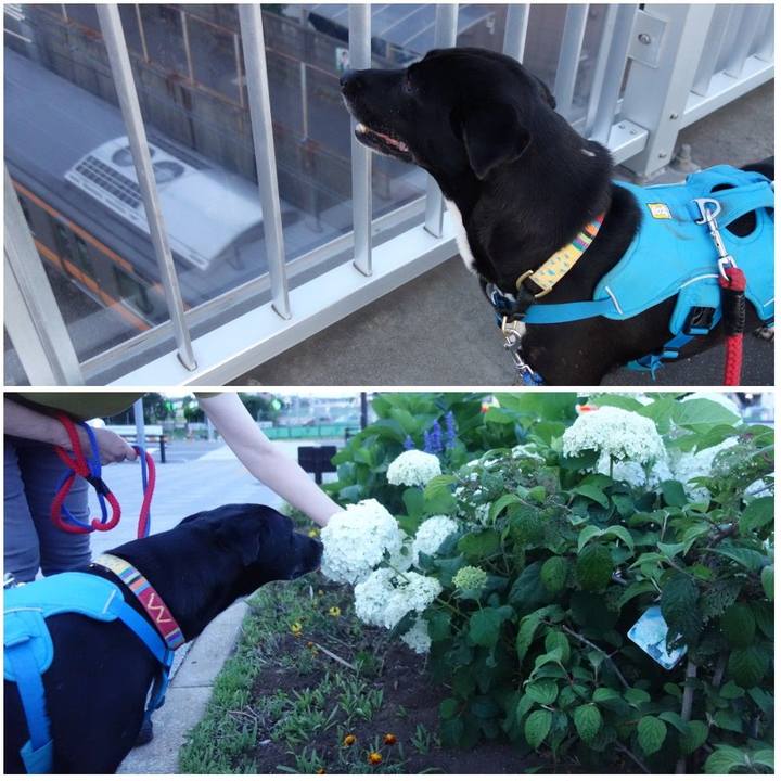 C2eb3f24 0f27 4dec b945 f5773a22716f 1623408643633