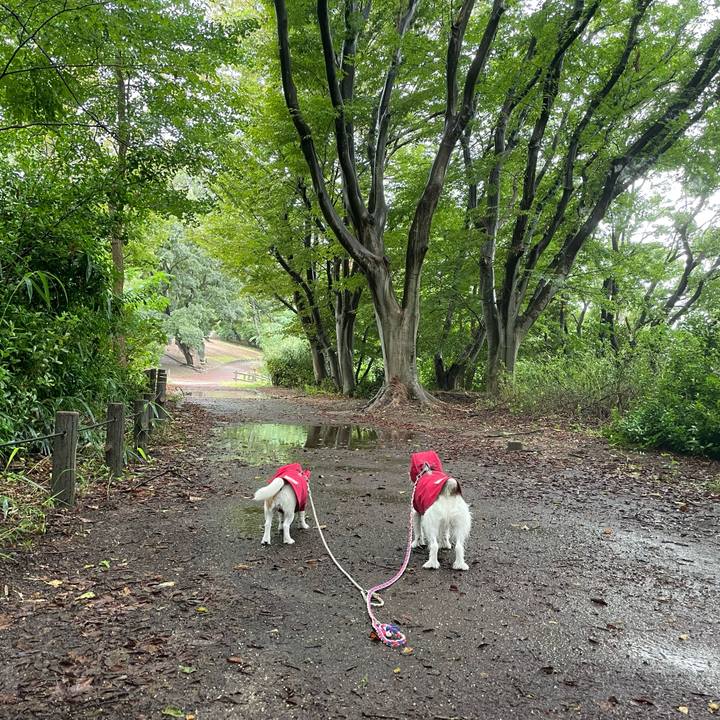 C2eb6bad 4549 49d3 880b 0559f4f6f3f2 1727046963927