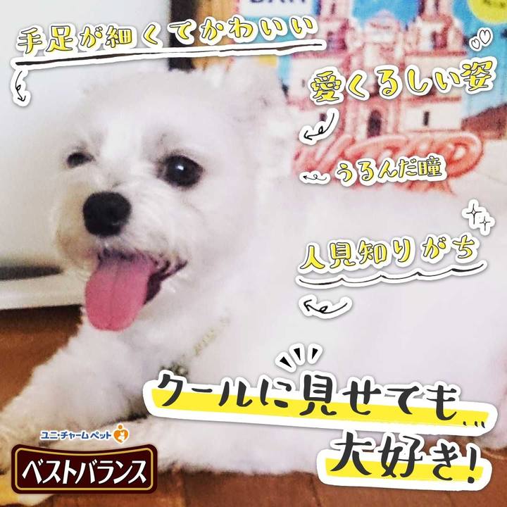 C2eb9b45 319e 48e0 b721 599a53bacd22 1542018471323