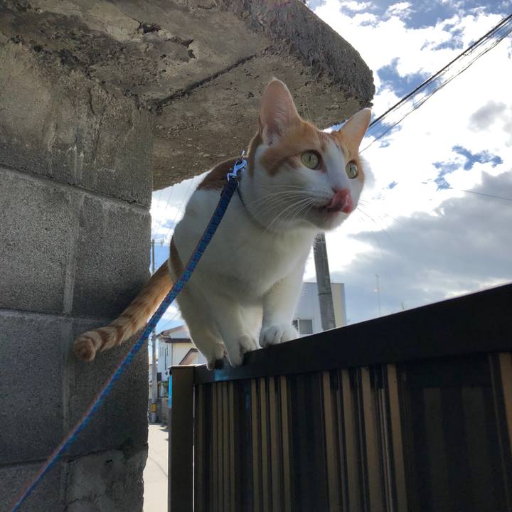 C2ebadd3 7703 4d9e a5df d55508b3c901 1538454541310