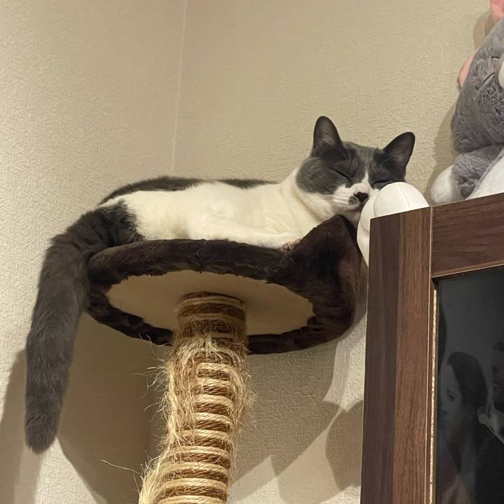 C2ebc01a 336e 4547 a8f4 d4ce0d7b9a53 1748272731086