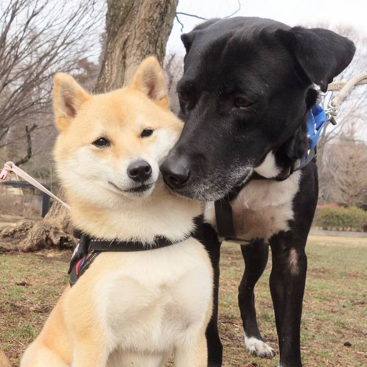 C2ebcffd a7b3 4adb ba51 be77ef0c9884 1646268295153