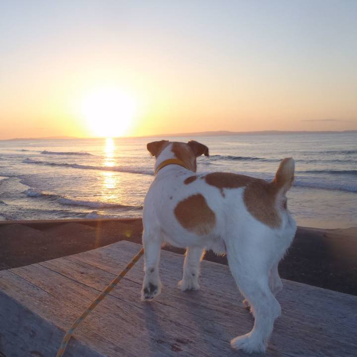 C2ec16f6 f4fd 4efd 8894 5490e1acea93 1540120420632