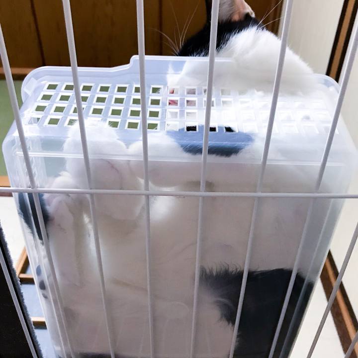 C2ec1b3a cc4c 4229 bb52 19013790817c 1510239607456