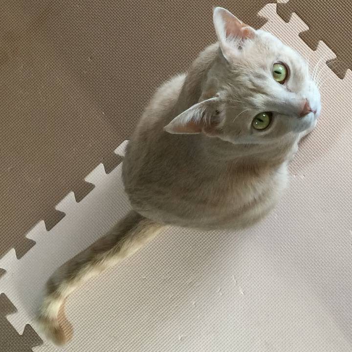 C2ec2b39 b131 41b6 814b f9d248133c88 1556581480679