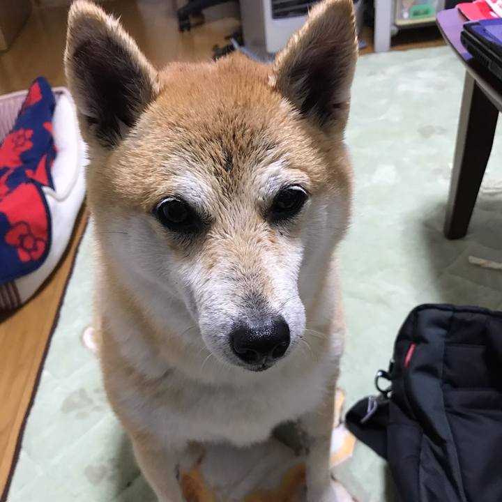 C2ec89ac 7d2a 4874 ad2b ba8cd0a0a6bd 1541764367690