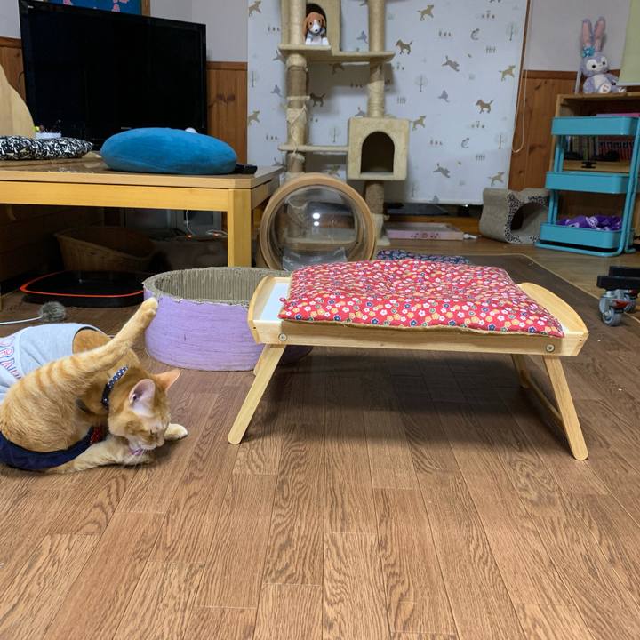 C2ec9db9 8876 4a4a 9962 0151391d917b 1619266814979