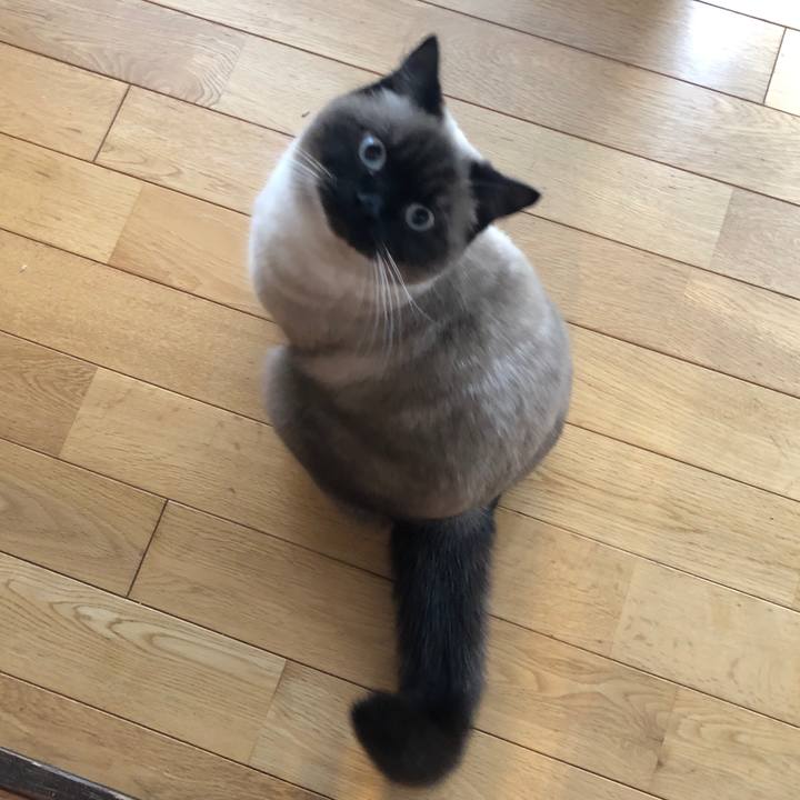 C2eccada f01c 49d2 812f ffd99b3916db 1611807213908