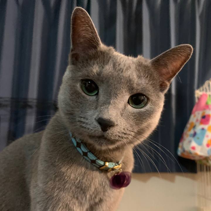 C2ece57e e8e8 4722 854f f75f0a9f4ece 1610965721666