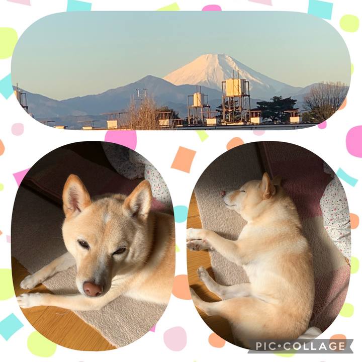 C2ecebb5 9f94 43b6 94fc b3b540fe22e3 1641186629624