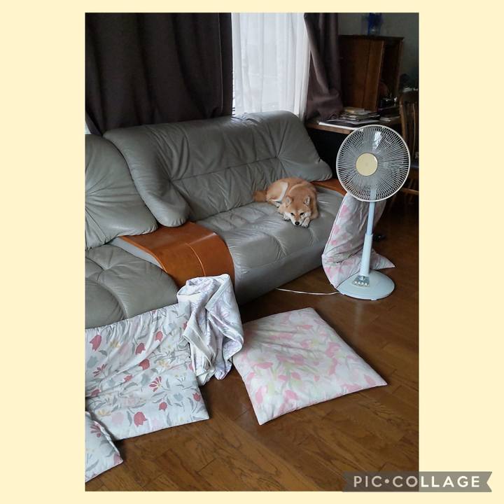 C2ed189c f00d 4e4e afb9 28bbb3143da2 1727567171565