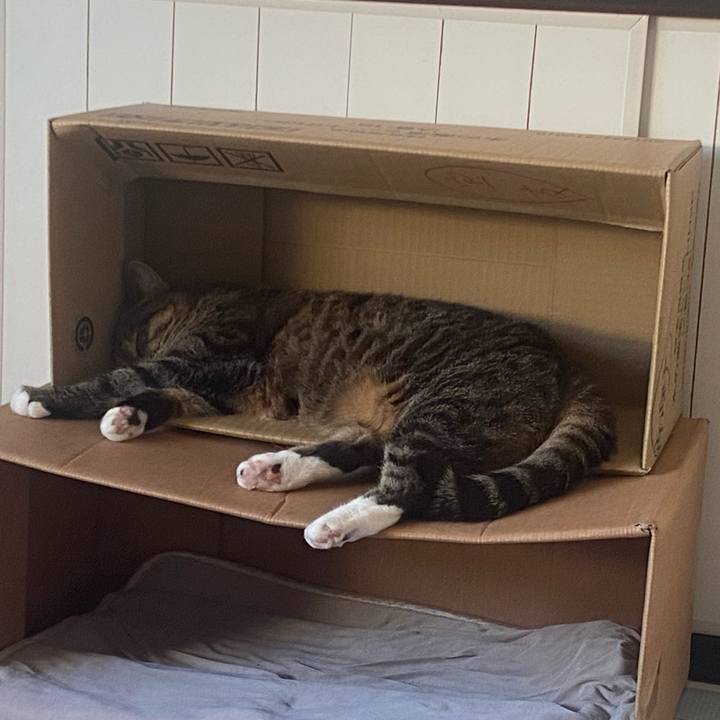 C2ed1bac cc80 44e7 82b2 af347e49d06c 1720080492004