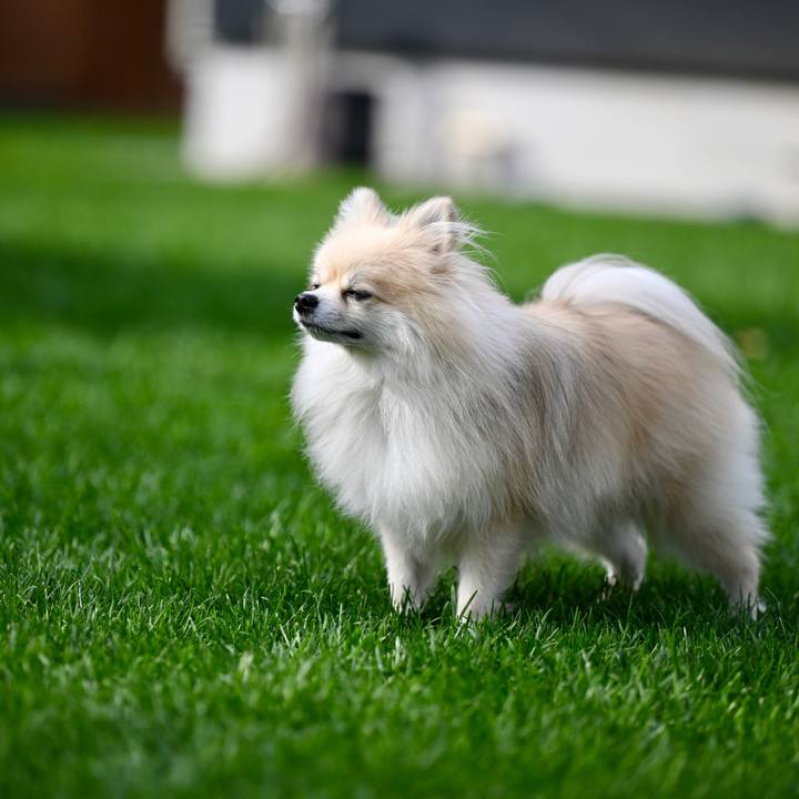 C2ed31ec f70a 40b9 ac32 f7ed3456d326 1759662644606