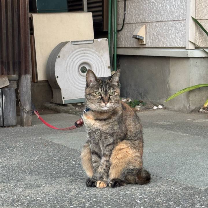 C2ed456b 9a77 4010 bae7 c91806aca9b7 1754605001956