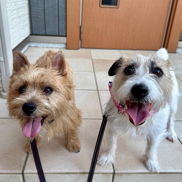 C2ed4978 fd8b 411e bc57 4fc86e057990 1750160184907