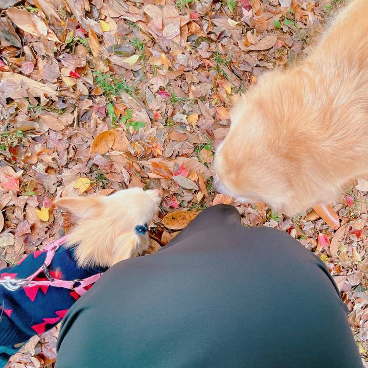 C2ed5be8 f96f 4d80 a1b0 69d5731e3b6d 1669281194977