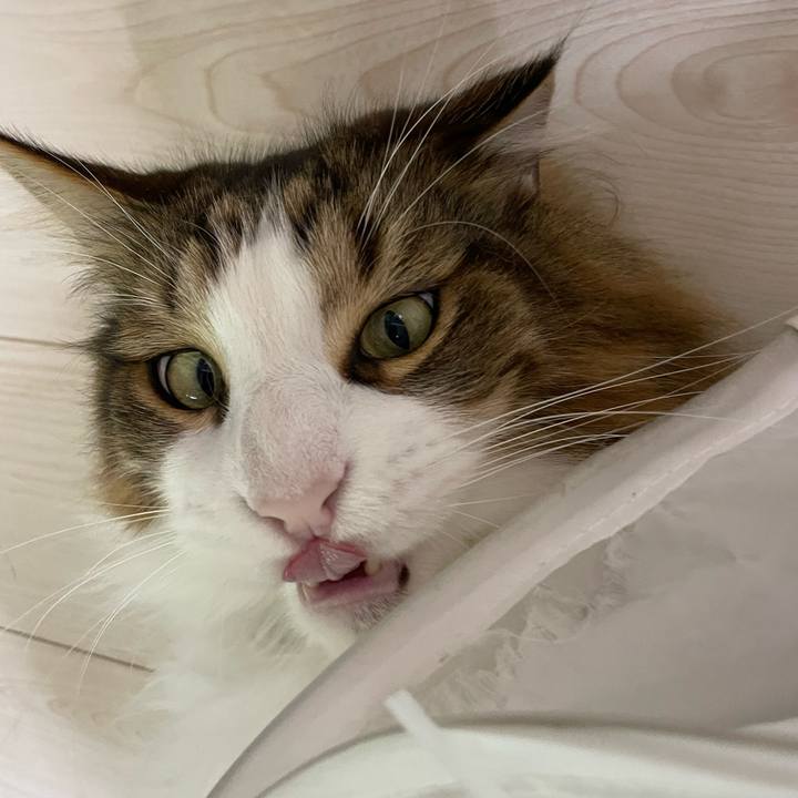 C2ed6915 ced7 43fe 912b 89fb615cf77b 1720468736101