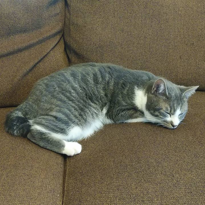 C2ed81c0 feb3 451a 92e6 d401f21f9e83 1581648990986