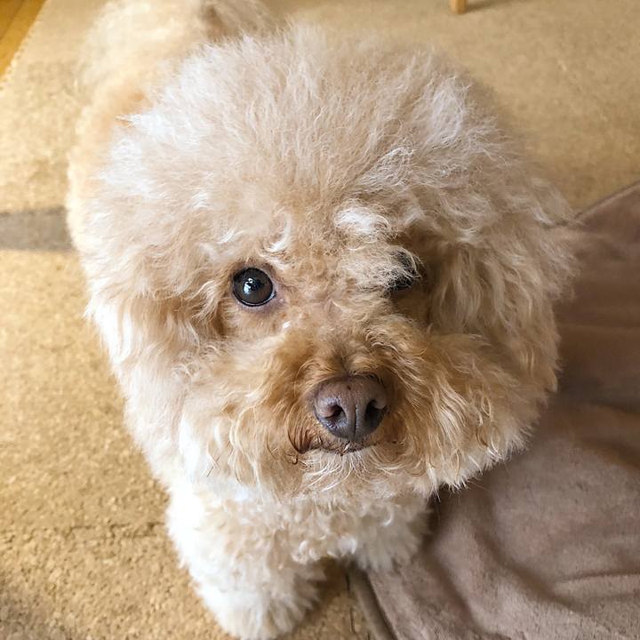 C2ed9b68 7c05 4855 b433 00dfc17c69dc 1528937934372