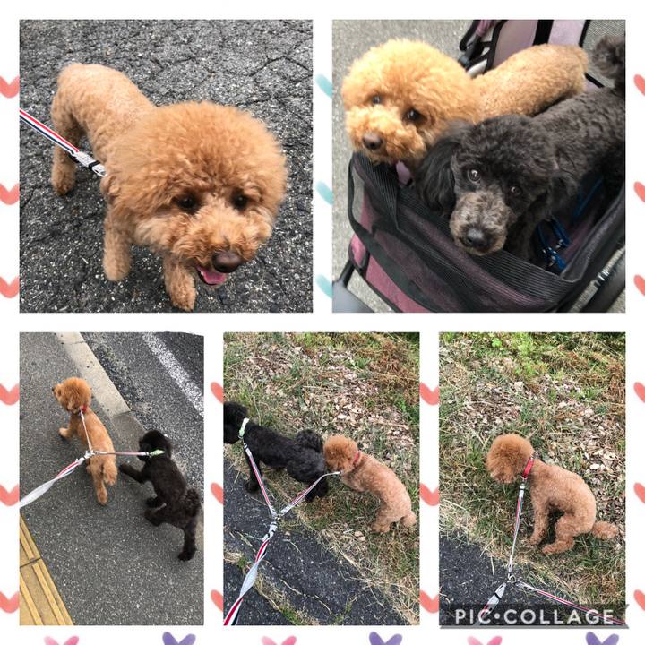 C2edaac4 f654 4bfc a92d dd962233f0f3 1591351243791