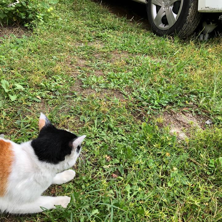 C2edae40 b648 4bdd aa79 aca7b1bd592f 1599952377747