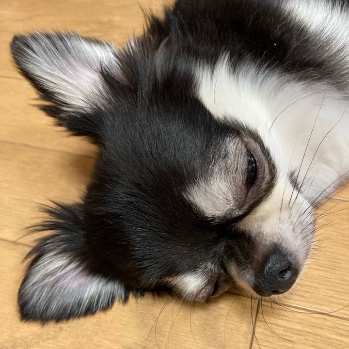 C2edb4c7 28f4 4623 8b0e 45d4d9c9169f 1626501191213