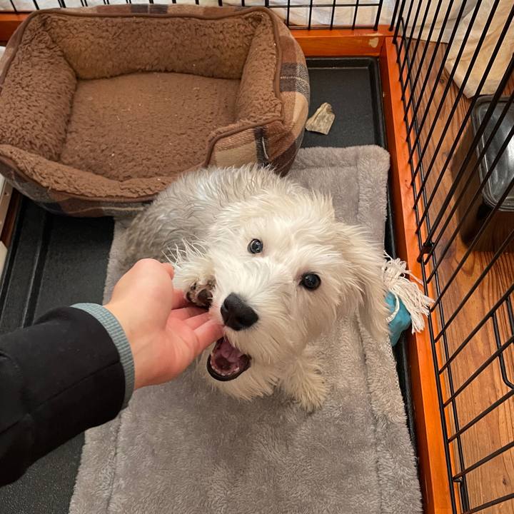 C2ede318 04fd 41c0 946a ba12436209a4 1642566944381