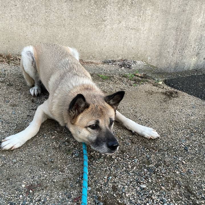 C2edebd8 7fdc 4dff 9b05 ffee898c5868 1699877872242