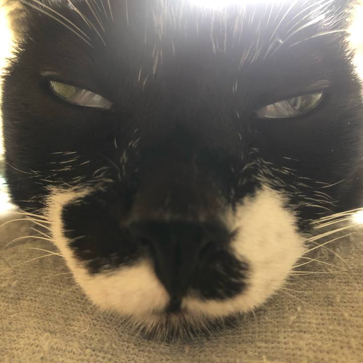 C2ee4620 04e1 412f afc1 0df59372573e 1620471948405