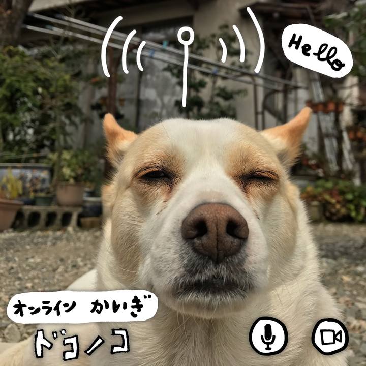 C2ee5dfc 0e2f 4e7c 8000 892225417f3d 1590745954334