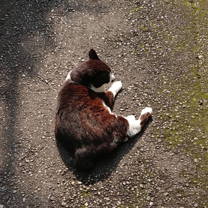 C2ef491c 60de 4a74 a621 13503de11f5a 1688433897061