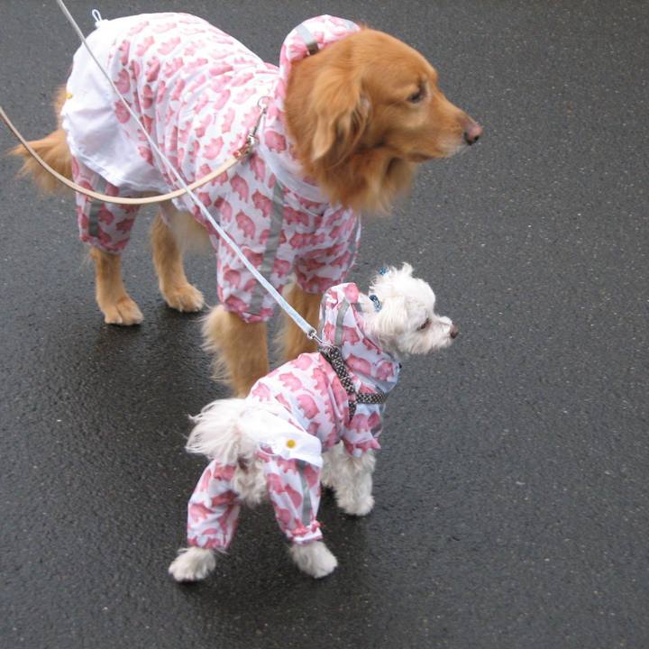 C2ef5a86 c362 4c1a 9fb0 ac50785d7c90 1528375229971