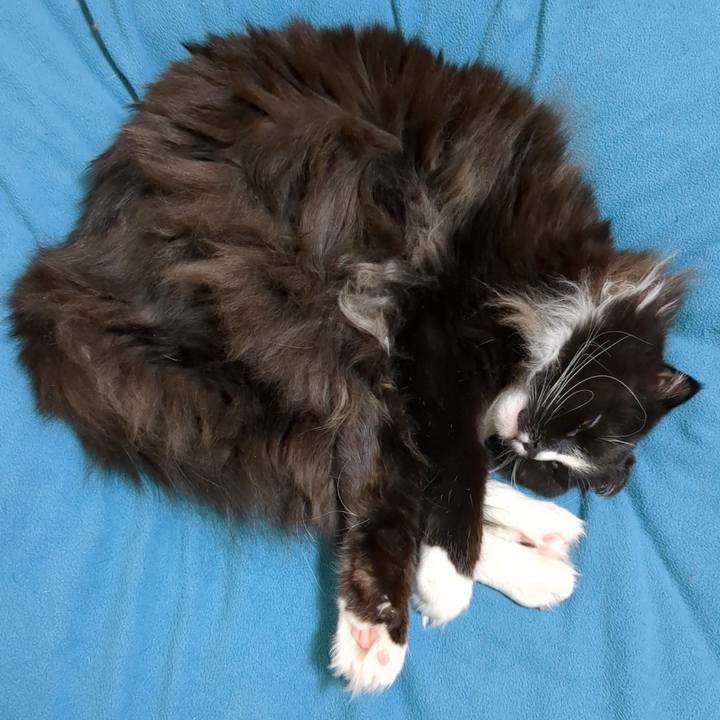 C2ef611a 97af 4ecb b5e0 5a03732202fb 1678072356887