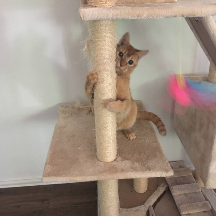 C2ef9344 1052 44d8 b5b5 8eb1cf1cfff5 1656636531018